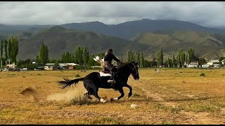 Horseback Archery Tengribowscom [upl. by Neleb]