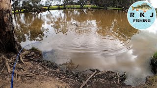 I wasnt expecting to catch THIS in the Campaspe River [upl. by Eseerahs]