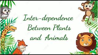 Class 4th  Science  Topic Interdependence between plants and animals [upl. by Ailalue]