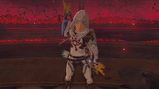 BOTW Calamity Ganon Phase 12 Kill Combo [upl. by Hilda266]