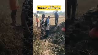 सुहेलवा जंगल में लगी आग को ग्रामीण व SSB के जवानों ने कड़ी मशक्कत के बाद आग पर पाया काबू [upl. by Auhsot]