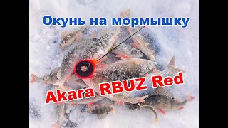 Окунь НА МОРМЫШКУ В ЯНВАРЕ ТЕСТИРУЮ Akara RBUZ Red [upl. by Elane]