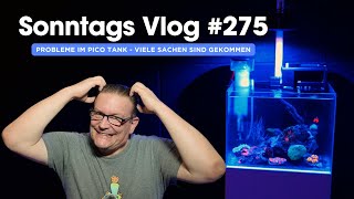 💦 Der Meerwasseraquaristik Sonntags Vlog EP 275 💦 Probleme im Pico Tank  Viele Sachen gekommen  💦 [upl. by Enelec]