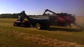 Slominski Harvesting Canola [upl. by Kuo]