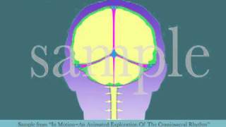 Intracranial Membrane System CSR Motion by Tad Wanveer [upl. by Ahseele]