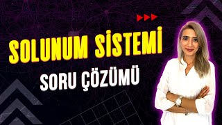 SOLUNUM SİSTEMİ💯 SORU ÇÖZÜMÜ l Seda Hoca Biyoloji ayt2023 [upl. by Gabbi630]