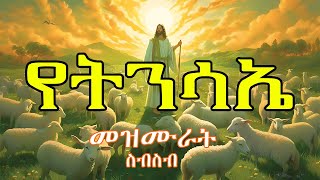 የትንሳኤ መዝሙራት Tinsae mezmur new Ethiopian orthodox Tewahedo mezmur [upl. by Bywaters]