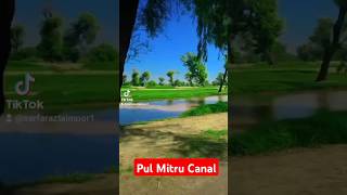 Pul Mitru Canal Mitru Tehsil Mailsi mitru mailsi shorts trending [upl. by Orelle]