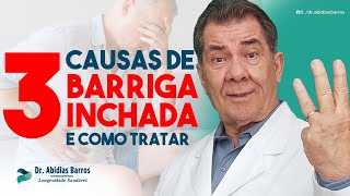 3 CAUSAS de BARRIGA INCHADA Tratamentos [upl. by Carlisle]