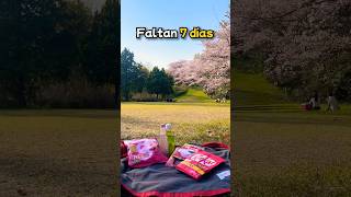 ESTO ES KYOTO JAPÓN 🌸 pt5 japon anime otaku [upl. by Siver]