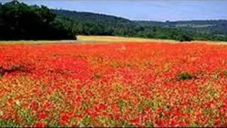 Green Fields of France by John McDermott [upl. by Johanan693]