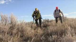 Hunting Whitetail in Utah [upl. by Aiduan]