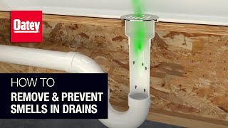 How to Remove and Prevent Smells in Drains [upl. by Anna-Diana]