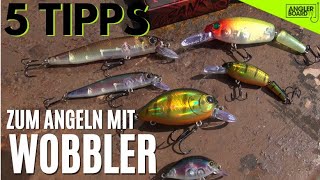 5 EINSTEIGERTipps zum ANGELN mit WOBBLER  Crankbait amp Twitchbait  Kunstköder  ANGLERBOARD TV [upl. by Peih]