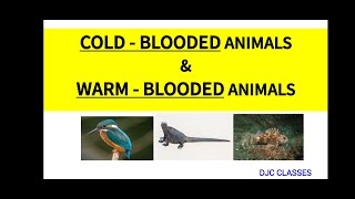 COLD  BLOODED ANIMALS amp WARM  BLOODED ANIMALS  POIKILOTHERMIC ANIMALS  HOMEOTHERMIC ANIMALS [upl. by Terrilyn]