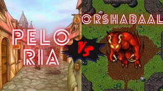 Peloria vs Orshabaal  Tibia Boss [upl. by Voe]