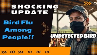 Bird Flu Cases Among Farm Workers May Be Undetected [upl. by Tobe]