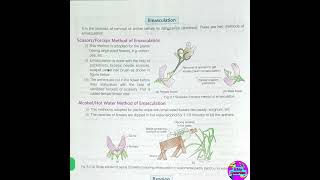 Emasculation bagging and tagging for pollinationpractical [upl. by Gnourt]