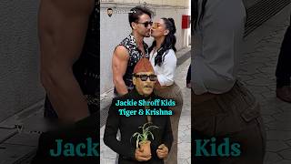 Jackie Shroff Kids Tiger amp Krishna Net Worth bollywood tigershroff jackieshroff krishnashroff [upl. by Sinnej]