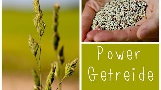 Top 5  Power Getreide  gesund amp vielseitig [upl. by Ynez]