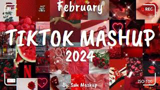 Tiktok Mashup February 🎉 2024 🎉 Not Clean [upl. by Nnaer516]