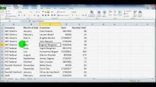 Microsoft Excel Pivot Table Tutorial for Beginners  Excel 2003 2007 2010 [upl. by Latonia]