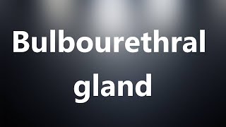 Bulbourethral gland  Medical Meaning [upl. by Agem]