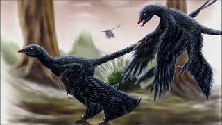 Microraptor Dinosaurs 🦅 [upl. by Kcirdneh551]