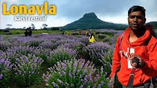 LONAVALAKarvi Flower Festival  ७ वर्षात एकदा उगवणारी कारवी फुलांचा महोत्सव With Detailed Location [upl. by Eelyrag438]