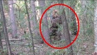 Bigfoot Attack Men In Black Government Cover Up [upl. by Ellmyer]