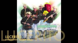 La Maquinaria Norteña Lucerito en vivo [upl. by Alaehcim]