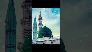 Mecca Madina 🕋🤲🌹🥰❤️💚 islamic viral video short trending shortfeed ytshort makkah [upl. by Nakashima]