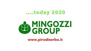 MINGOZZI GROUP  Since 1985 [upl. by Aitram]