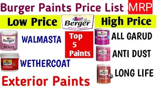 Exterior Burger Paints Price List  Burger Paint Apply Process [upl. by Eveleen]