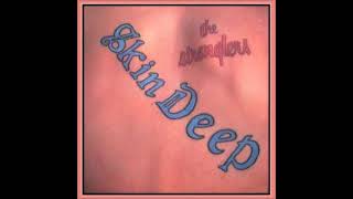 The Stranglers  Skin Deep 1984 [upl. by Iretak]