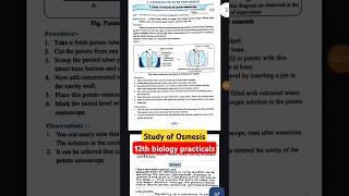 Biology practical  Study of osmoscope answers with Viva questions shortvideo biology hsc [upl. by Cykana]