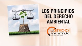 Los Principios del Derecho Ambiental  DE1M  179 [upl. by Iahs]