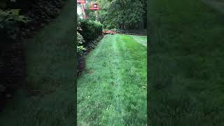 MOWING in POV with SCAG landscape lawncare landscaping mowing scag [upl. by Rillings]