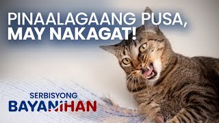 Sino ang dapat magbayad ng danyos sa pusang nakakagat [upl. by Xever]