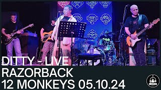 DITTY RAZORBACK LIVE 12 MONKEYS 051024 [upl. by Kamin]