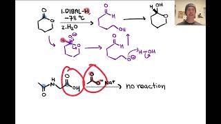 Acylations of Nucleophiles  LTQ 71 Spring 2024 [upl. by Cohe]