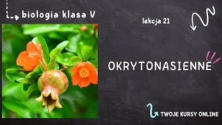 Biologia klasa 5 Lekcja 21  Okrytonasienne [upl. by Nnaul837]