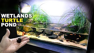 Aquascape Tutorial Turtle Aquarium  Vivarium  Paludarium how to step by step planted tank guide [upl. by Nealon]