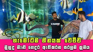 Wow From Ocean to Aquarium  These Amazing Sri Lankan Saltwater Fish Will Blow Your Mind 😍 [upl. by Enier]