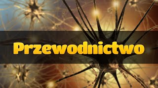 Przewodnictwo nerwowe [upl. by Vanden]