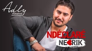 Mohamed Adly  Ndéclaré Nebrik EXCLUSIVE Lyric Clip  محمد عدلي  نديكلاري نبغيك حصريأ [upl. by Enriqueta680]