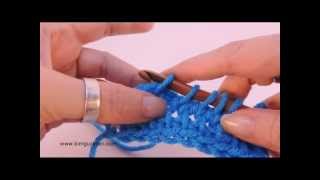 Tunisian Crochet Work 2 Stitches Together [upl. by Nylhtac]