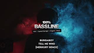 100 BASSLINE  BURGABOY  TELL ME WHO MERKURY REMIX  HQ [upl. by Ranit]