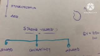 CARDIAC OUTPUT  FRANK STARLING’S LAW Cardiovascular system physiology [upl. by Arvin]