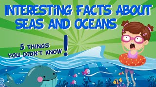 Interesting Facts About Seas and Oceans  Educational Video for Kids [upl. by Yerak]